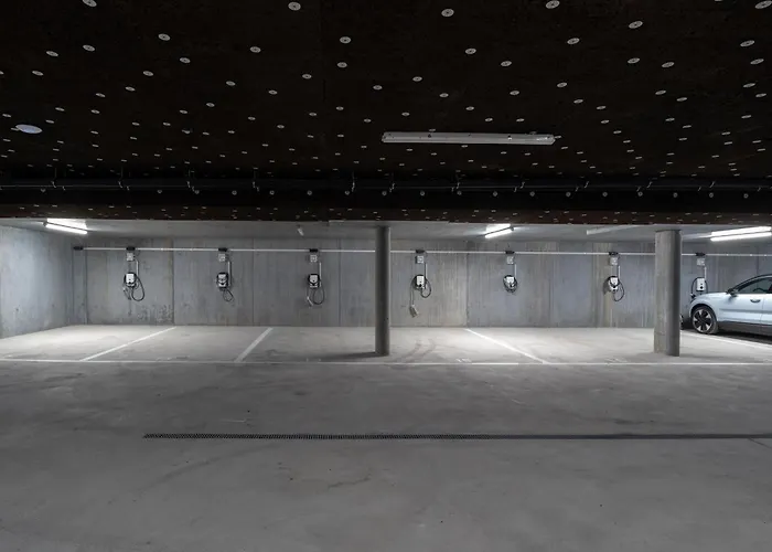 Inside Europes Largest Hemp Building, Made By Openly 3*