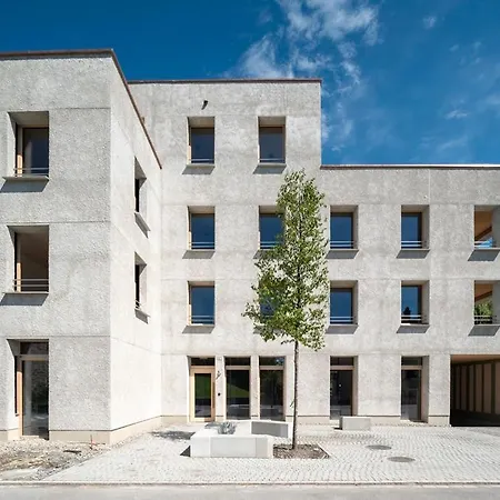 Inside Europes Largest Hemp Building, Made By Openly Konukevi Widnau